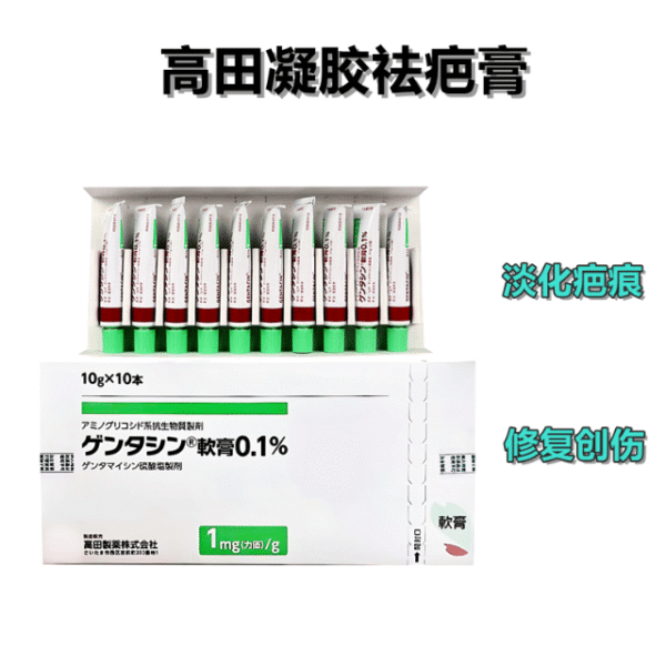 GENTACIN OINTMENT 0.1% (10Gx10PCS)