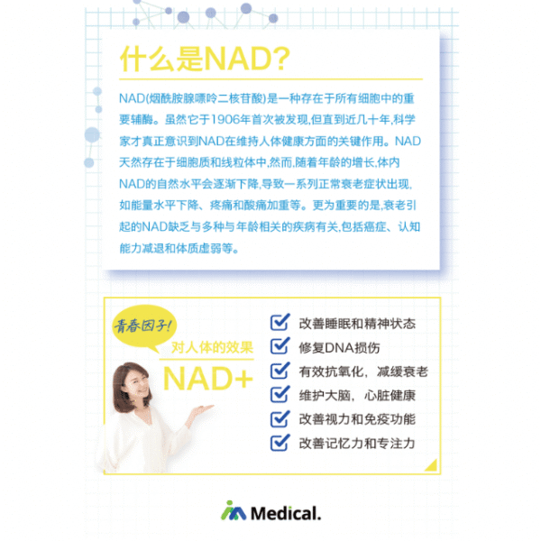 NAD+NMN 500MG
